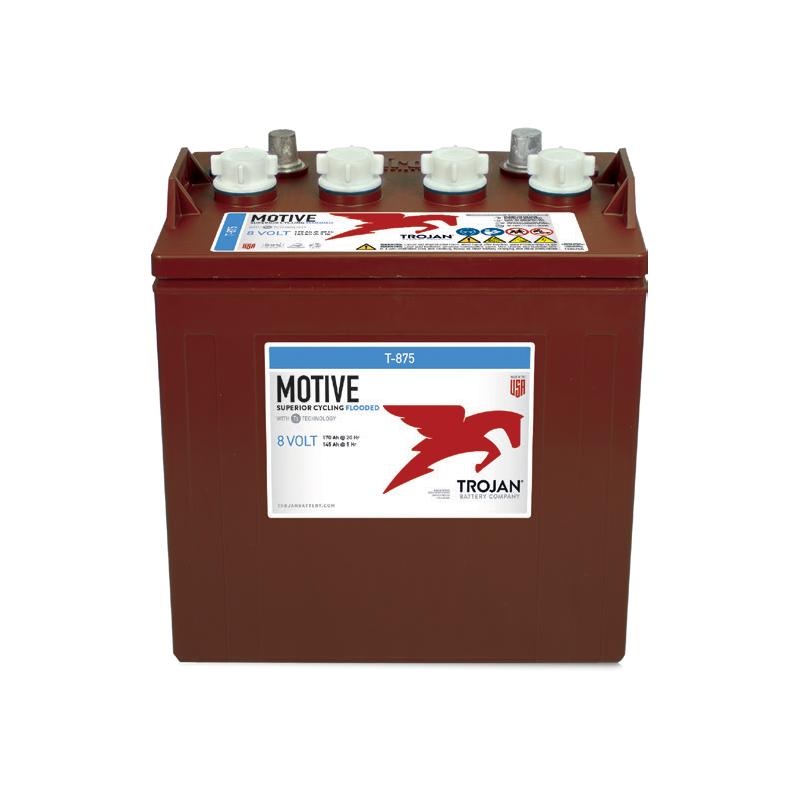 Batteria auto Trojan T875 PIOMBO 8V 170Ah
